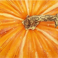 Есен, жетва природна жолта портокалова пена декорација на тиква, начин за славење