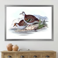 DesignArt 'Антички австралиски птици IX' Традиционална врамена уметничка печатење