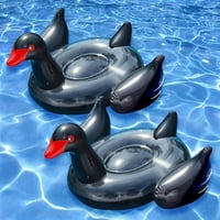 Пливање гигантски црн лебед лебди за базени, од 2