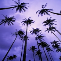 Хаваи, Кауаи, Кокосови Палми Силуетирани Во Зори Против Виолетово Небо. Постер Печатење