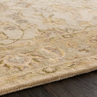 Уметнички ткајачи Чарлс маслиново слонова коска традиционален килим од 5 '8'