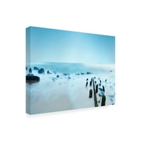 Jamesејмс Меклафлин 'Seascape Photo III' Canvas Art