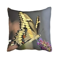 Путер пеперутка мува пеперутки грмушка цветна силуета крилја градини перници за перници