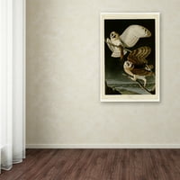 Трговска марка ликовна уметност 'Barn Owlplate 171' Canvas Art by Audubon